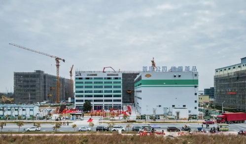 茶里集團南沙總部落成，推動高端袋泡茶標(biāo)準(zhǔn)化、工業(yè)化與科技化進程